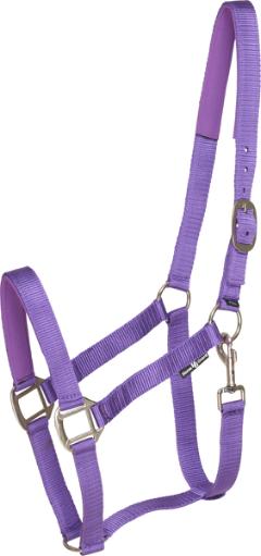 HG Headcollar