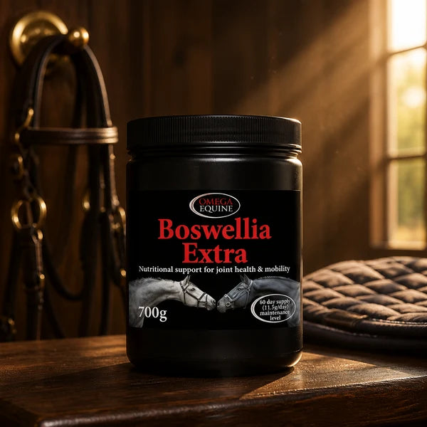 Omega Equine Boswellia Extra