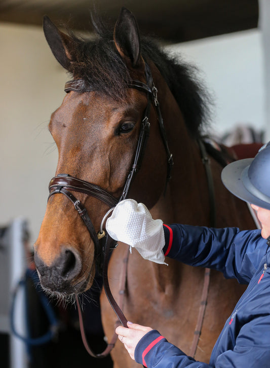 Carr & Day & Martin Belvoir Tack Cleaner Mitt