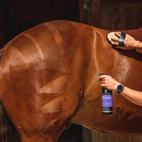 Carr & Day & Martin Dreamcoat The Ultimate Coat Finish