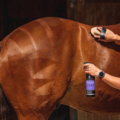 Carr & Day & Martin Dreamcoat The Ultimate Coat Finish