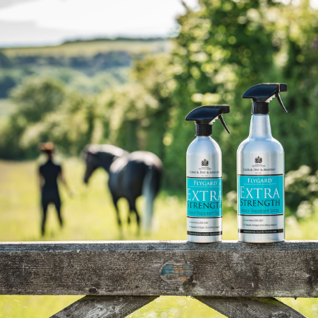 Carr & Day & Martin Flygar Extra Strength Insect Repellent Spray