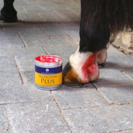 Carr & Day & Martin - Protection Plus - Waterproof Salve