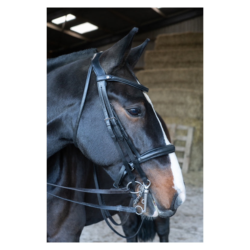 EcoRider Freedom Double Bridle