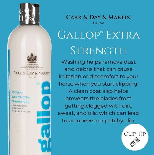 Carr & Day & Martin Gallop Extra Strength Shampoo