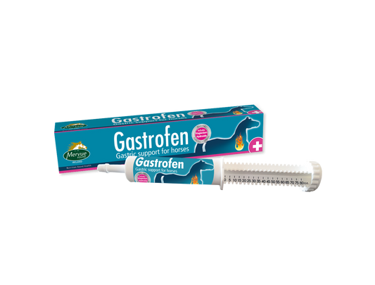 Gastrofen – 80ml