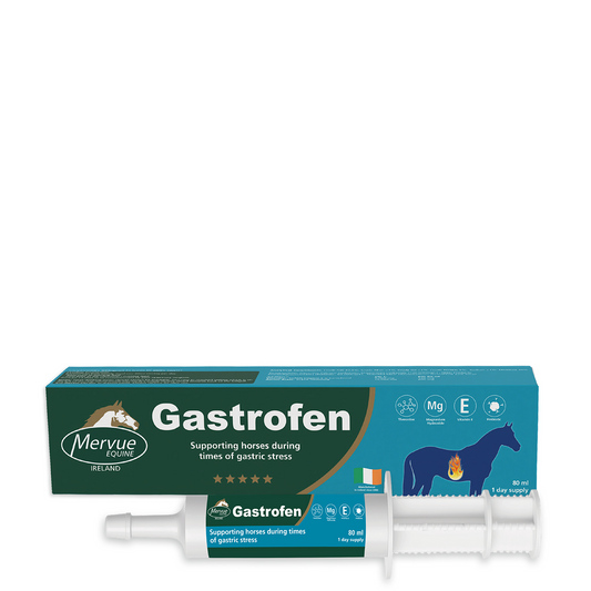 Gastrofen