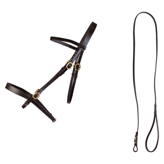 Inhand Bridle And Lead