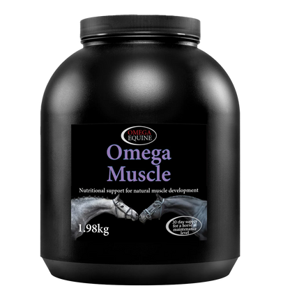 Omega Equine Muscle