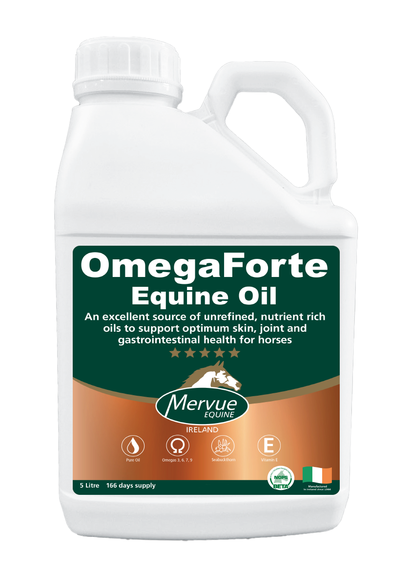 OmegaForte Equine Oil