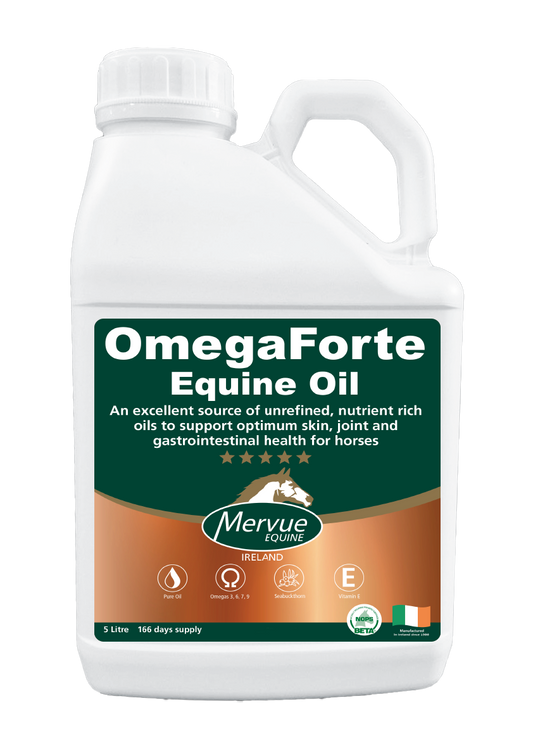 OmegaForte Equine Oil