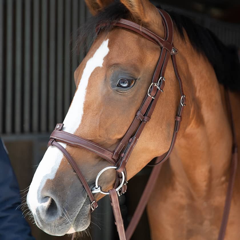 Antares Origin anatomic flash noseband bridle