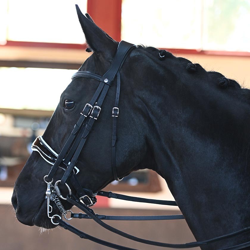 Antares Origin dressage anatomic double bridle