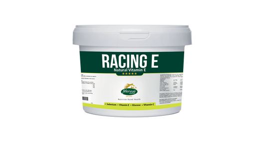 Racing E – 1.5kg