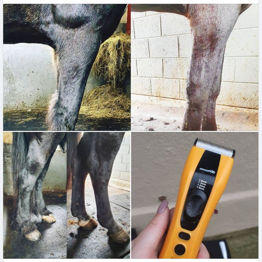 ERGOPRO Battery Operated Handy II Trimmer