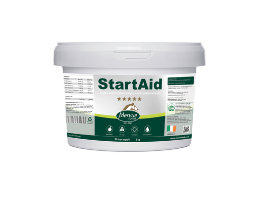 Start Aid Electrolyte