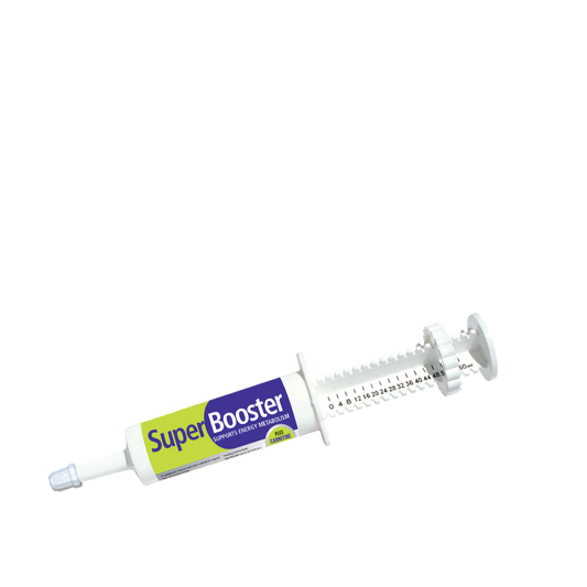 Super Booster