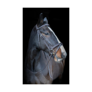 Anatomic Bridle With Sure Grip Reins