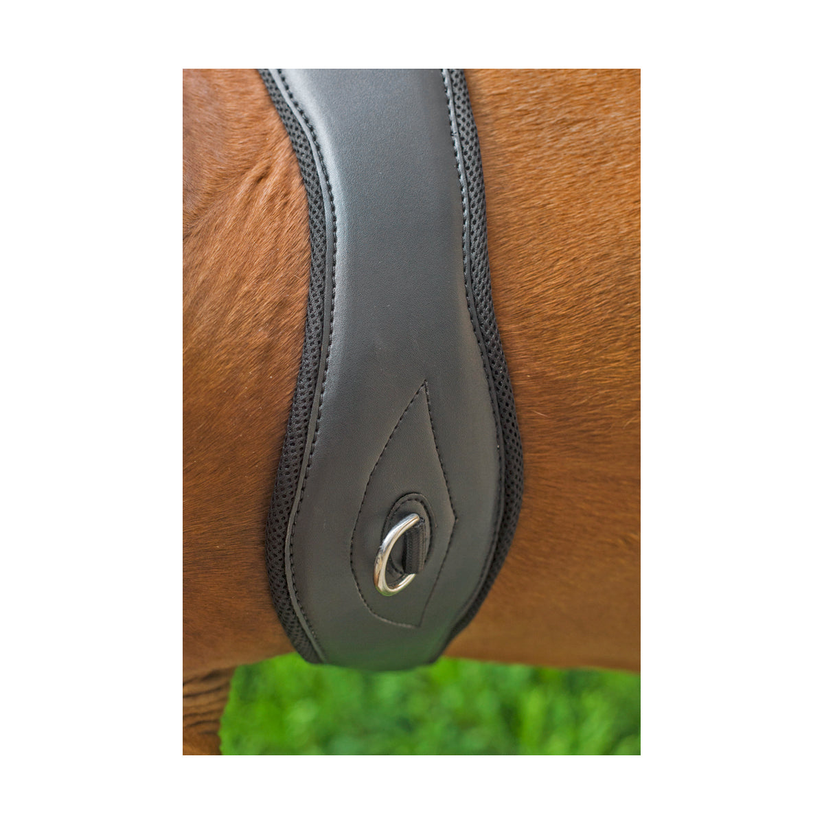 Apollo Breathe Anatomic Girth