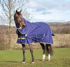 ASKER COMBO TURNOUT RUG