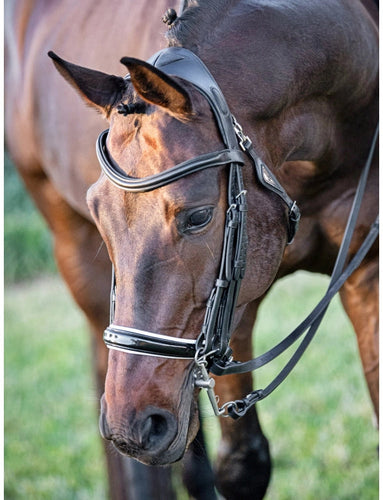 BLACK READY TO RIDE DRESSAGE BRIDLE
