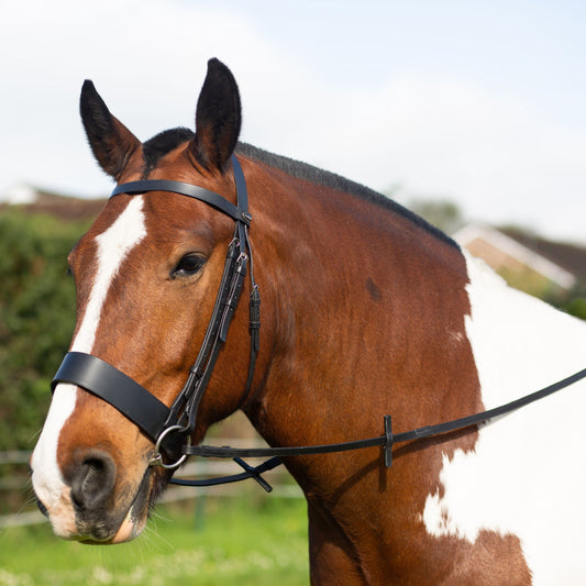 Winsor Hunter Bridle