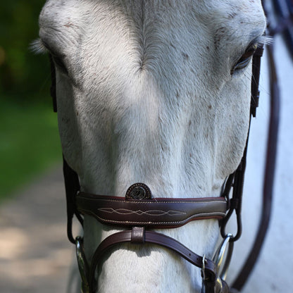 Antares Signature Combined Bridle