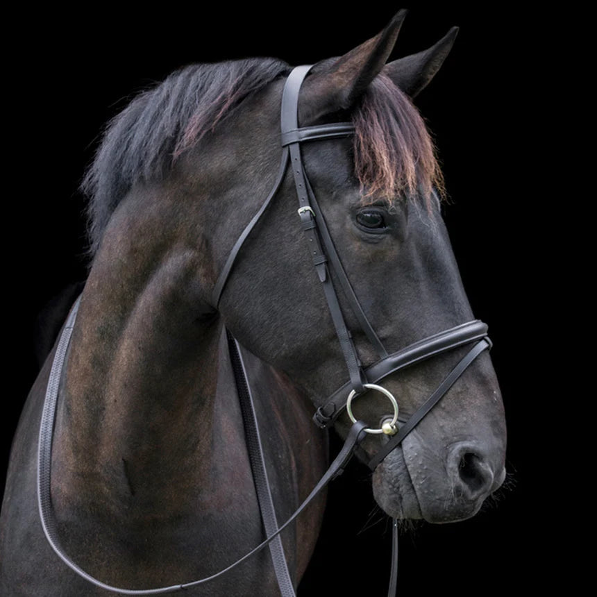 Cameo Classic Padded Bridle