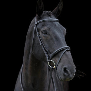 Cameo Classic Padded Bridle