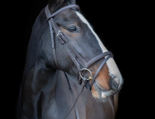 Cameo Comfort Bridle