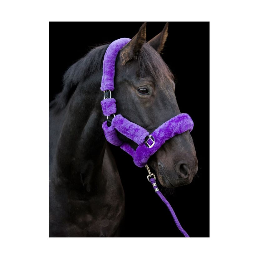 CAMEO Delux Headcollar