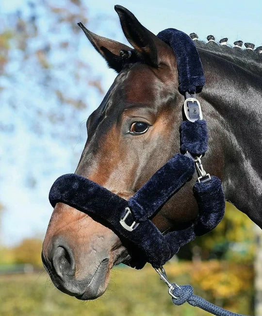 Cameo Deluxe Fur Headcollar Black