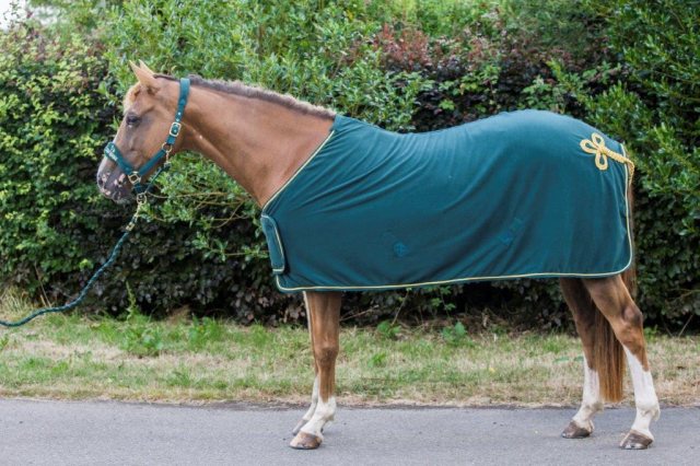 Cameo Equine Green/Gold Fleece Rug