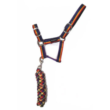 Cameo Rainbow Riders Headcollar and rope set