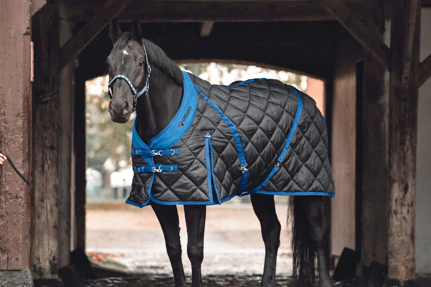 Catago Stable Rug 300g Black w. Blue