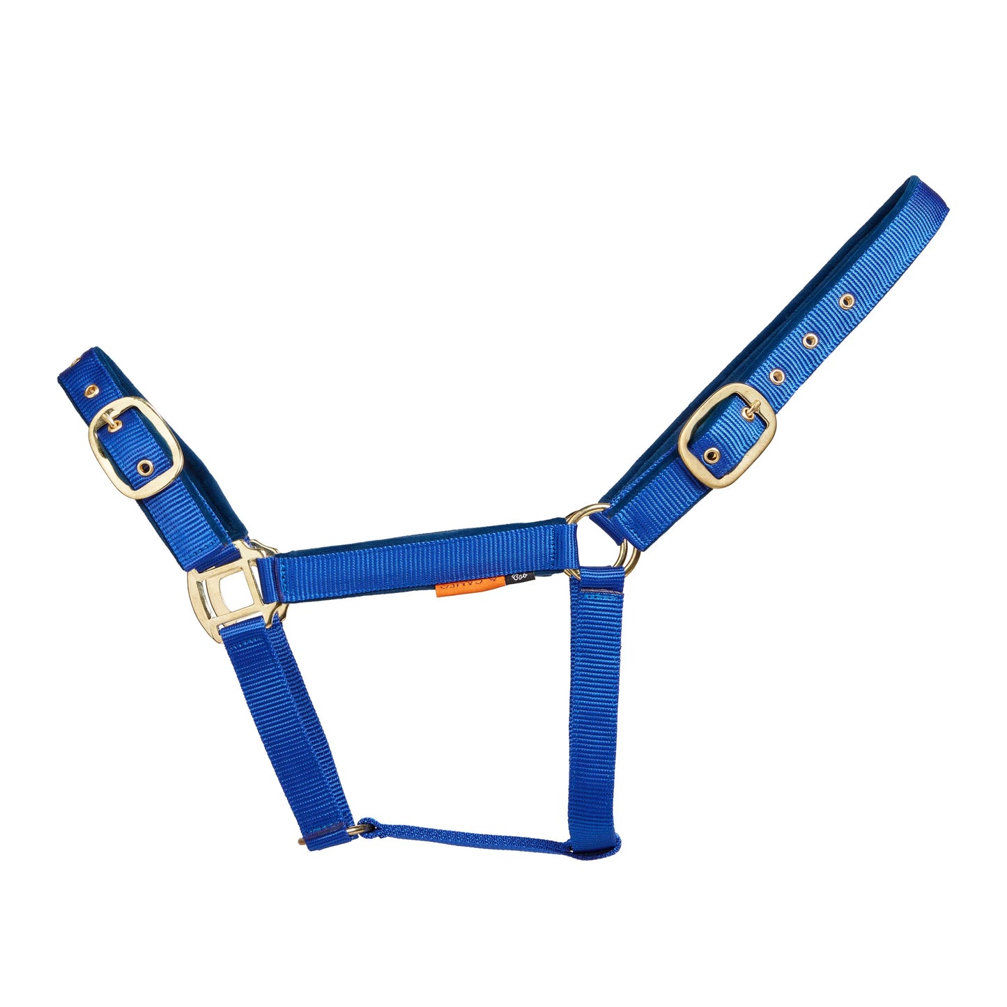 Padded Headcollar