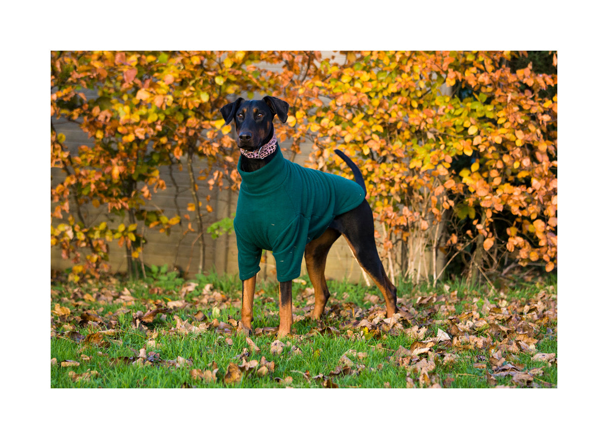 Cosy Fleece Jumper