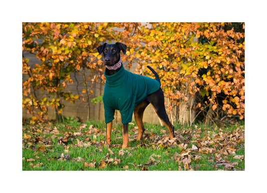 Cosy Fleece Jumper