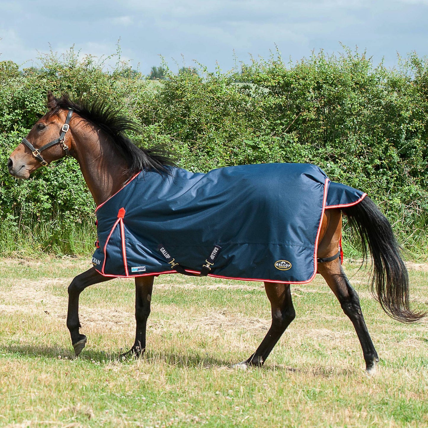 TROJAN Duraproof 200g Turnout