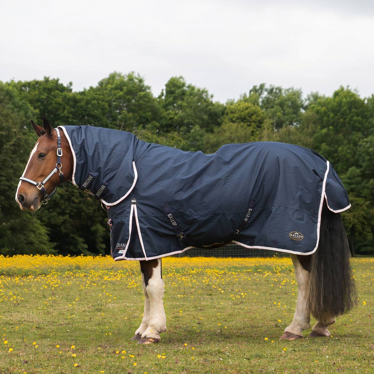 TROJAN Duraproof 50g Turnout Combo