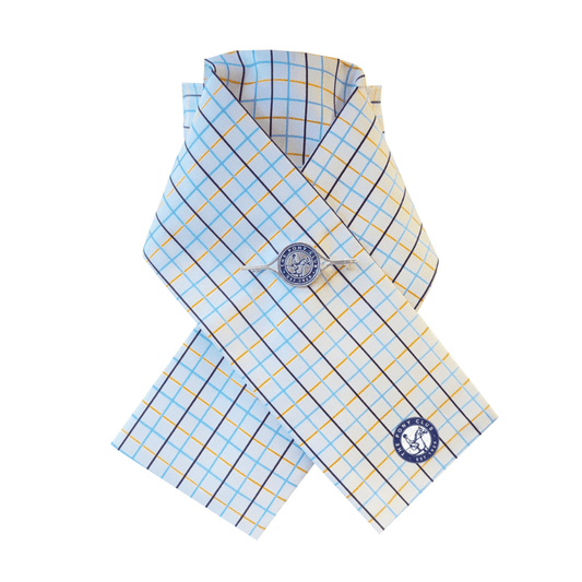Official Pony Club signature stock pin
