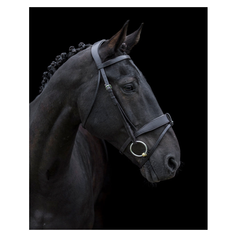 Eco Rider Classic Show Comfort Bridle