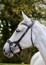 EcoRider Freedom Jump Bridle