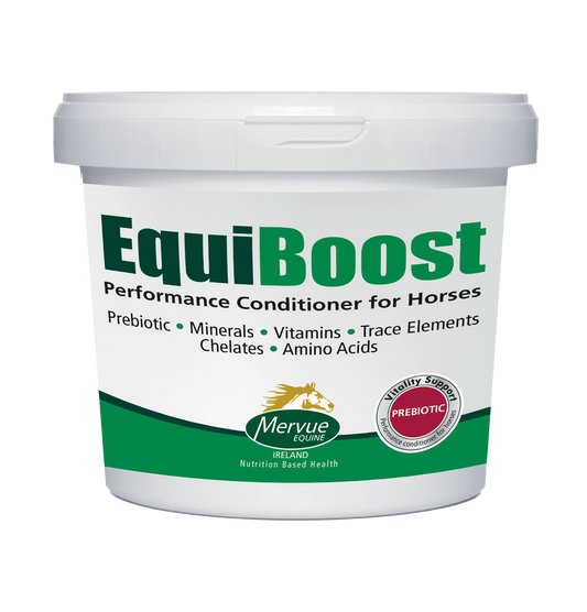 Equiboost