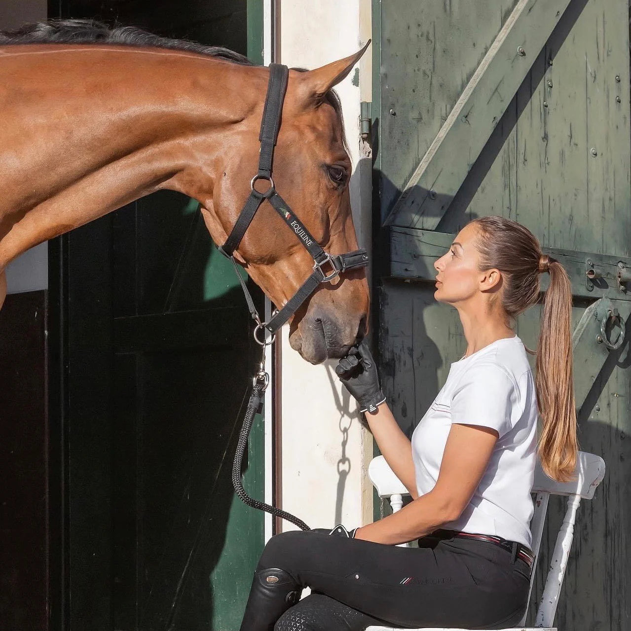 Equiline Pony Headcollar