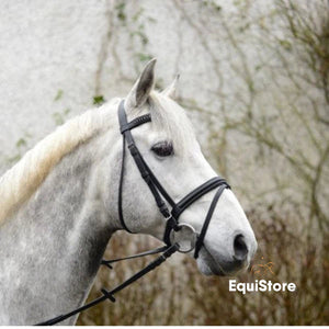 Equisential Bling Bridle and Reins