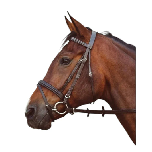 Equi-Sential Bridle & Reins