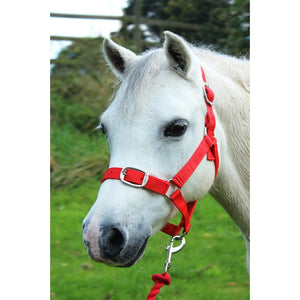 Gallop Headcollar and Leadrope Set