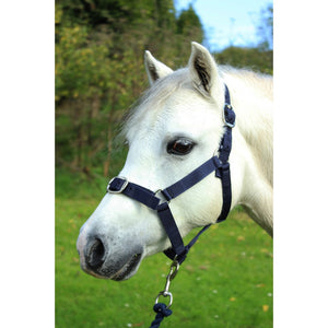 Gallop Headcollar and Leadrope Set