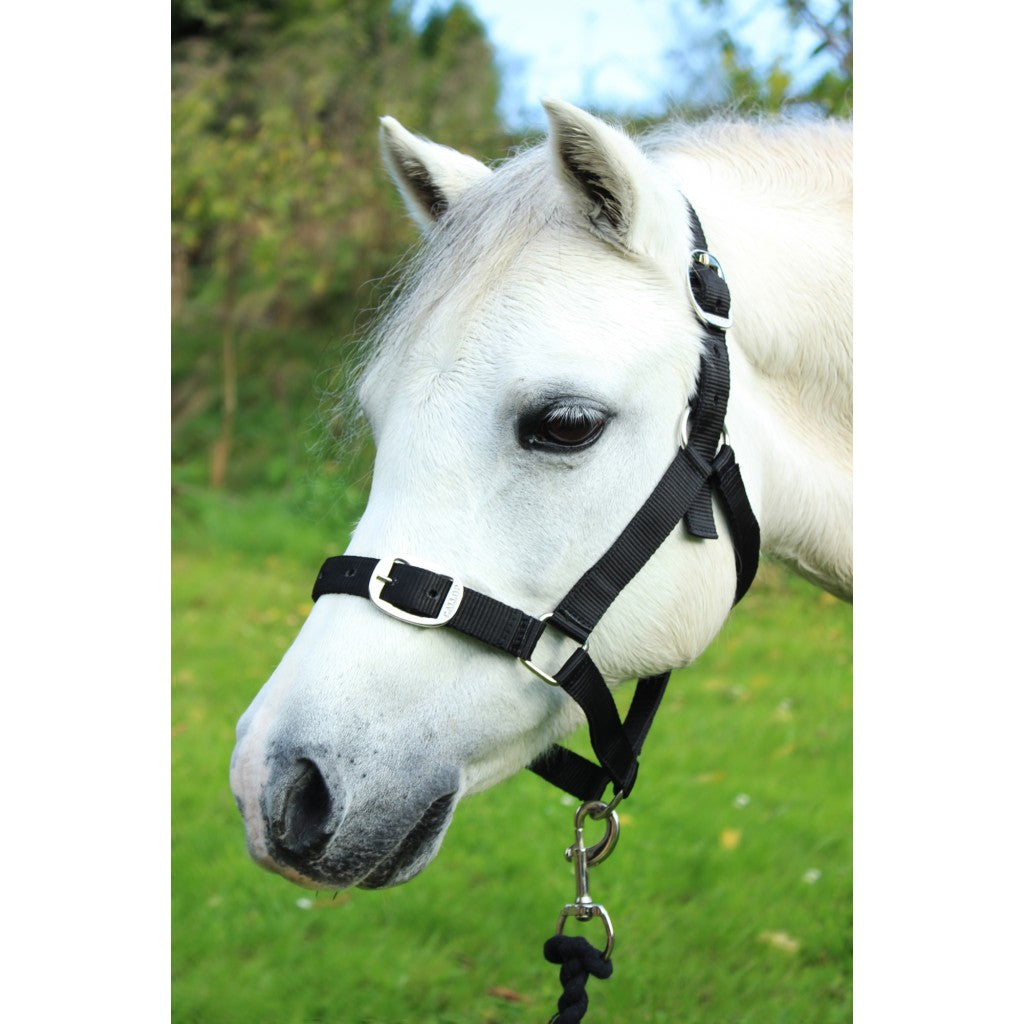 Gallop Headcollar and Leadrope Set